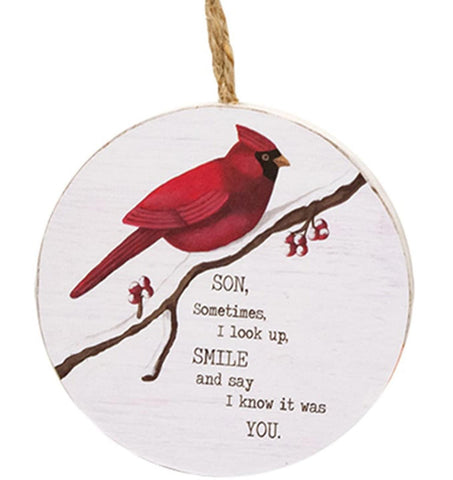 37428 SON, Sometimes, I look up, SMILE and say I know it was YOU." cardinal orna